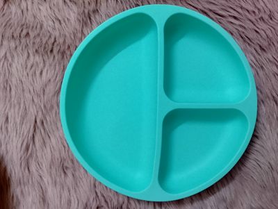 Silicon Plate_img_3