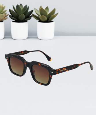 Tomford Stylish Sunglass || TF-24TS_img_0