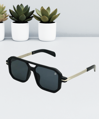 DAVID BECKHAM Sunglass | DB 01MB_img_0