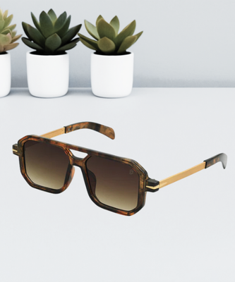 DAVID BECKHAM Sunglass | DB 01BR_img_0