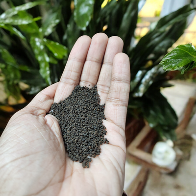 PREMIUM BLACK TEA_img_3