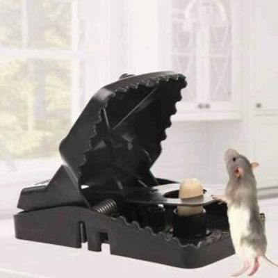 Mouse Trap Clip_img_0