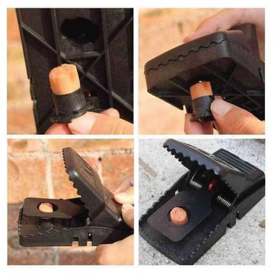 Mouse Trap Clip_img_1