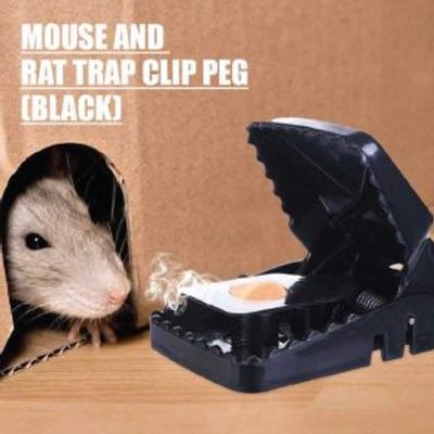 Mouse Trap Clip_img_2