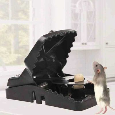 Mouse Trap Clip_img_3