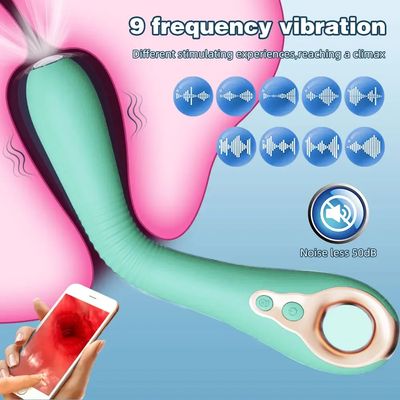 Female Vibrator with App Control Heating Dildo HD Endoscopic Camera Video Recording Flashlight Illumination Sex Toys for Couples_img_1