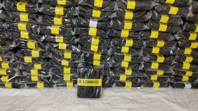 5 pcs Wholesale Foam Lumbar Support Pillow_img_1