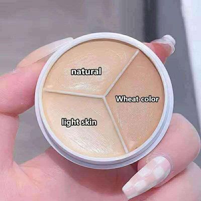 Concealer Palette_img_1