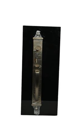 Main Door Lock_img_2