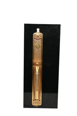 Main Door Lock_img_5