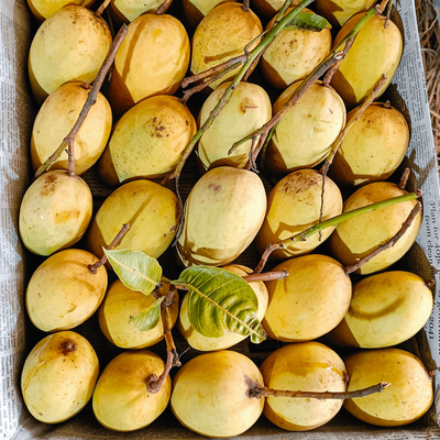 আম (কাটিমন-1kg) কার্বাইড মুক্ত_img_1