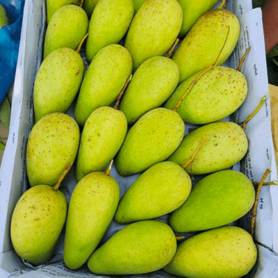 আম (কাটিমন-1kg) কার্বাইড মুক্ত_img_2
