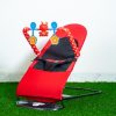 Love Baby Bouncer_img_2