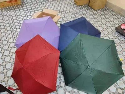 Capsule Umbrella_img_4