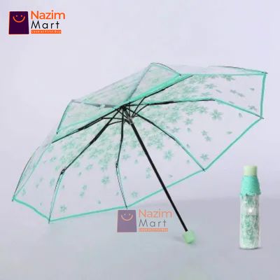 Transparent Umbrella._img_1