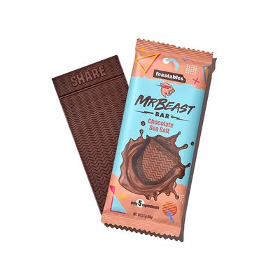 Feastables MrBeast Sea Salt Chocolate Bar 60gm_img_0