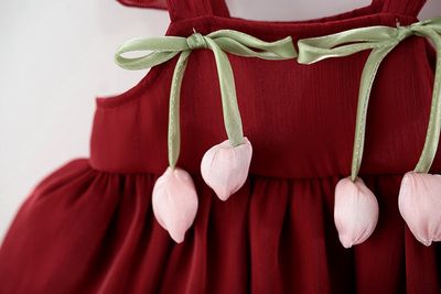 Imported 👗 Girls' Summer Princess Dress – Korean Ins Style with Slip Skirt_img_5