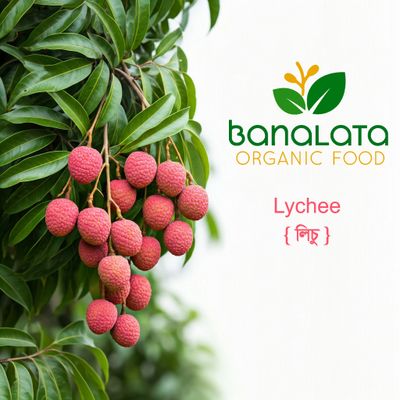 লিচু ১০০ পিচ