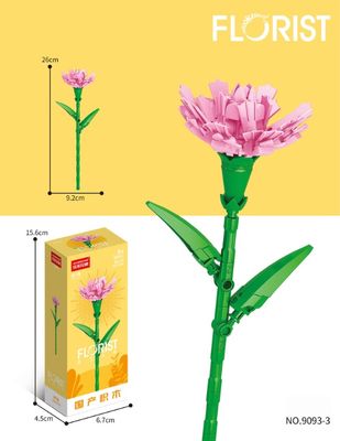 Carnation_img_0