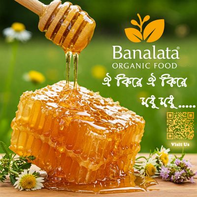 প্রাকৃতিক মধু ১ কেজি_img_1
