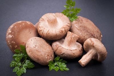BROWN MUSHROOM.oman_img_0