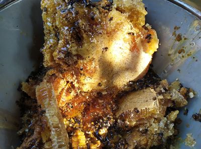 পাহাড়ি মধু_img_7