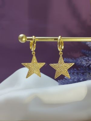 Sparkling star hoop earrings_img_0