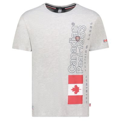 T-Shirt Col Rond avec Impressions et Drapeau GRIS CLAIR_img_0