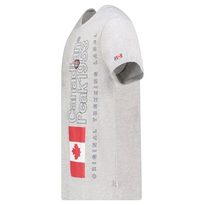 T-Shirt Col Rond avec Impressions et Drapeau GRIS CLAIR_img_1