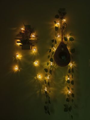 বাবুই পাখির বাসা (হোম ডেকর) কম্বো - ৩_img_4