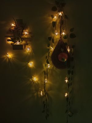 বাবুই পাখির বাসা (হোম ডেকর) কম্বো - ৩_img_6