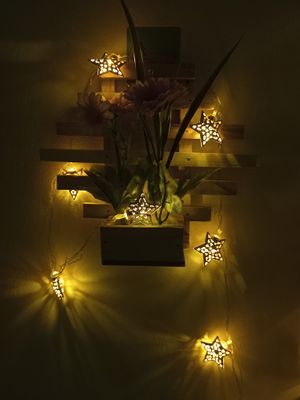 বাবুই পাখির বাসা (হোম ডেকর) কম্বো - ৩_img_7