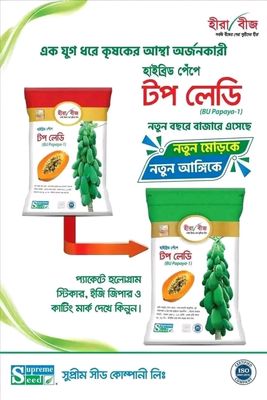 হাইব্রিড পেঁপে টপ লেডি ( BU Papaya-1 ) ,। Hybrid Papaya Top Lady (BU Papaya-1)_img_0
