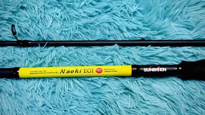 Naoki EGL 10FT_img_0