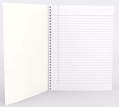 Youngster (Basanti) 200 Page Notebook_img_3