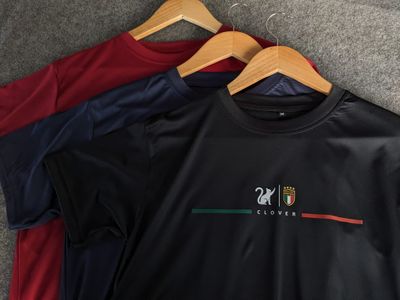 Premium Regular Fitted Jersey T-Shirt_img_0