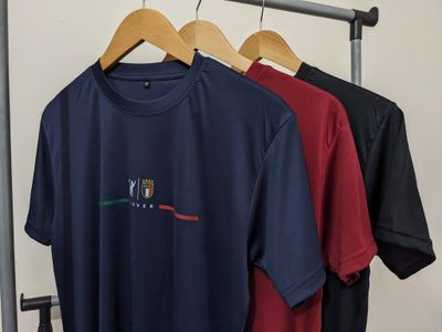 Premium Regular Fitted Jersey T-Shirt_img_4