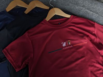 Premium Regular Fitted Jersey T-Shirt_img_5