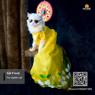 cat gown_img_0