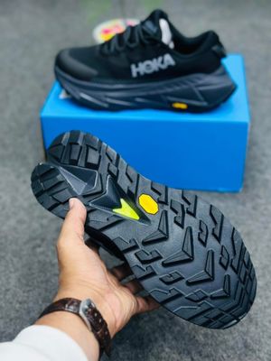 Hoka x Skyline Float X (1:1)_img_15