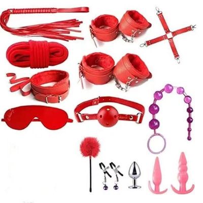 premium 14 pcs BDSM set_img_2