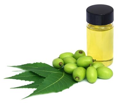নিম তেল_img_0