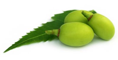 নিম তেল_img_2