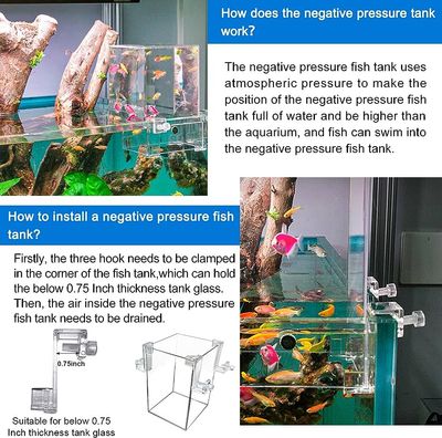 Vertical negative pressure aquarium_img_1