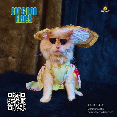 Cat frock (3.5 kg)_img_1