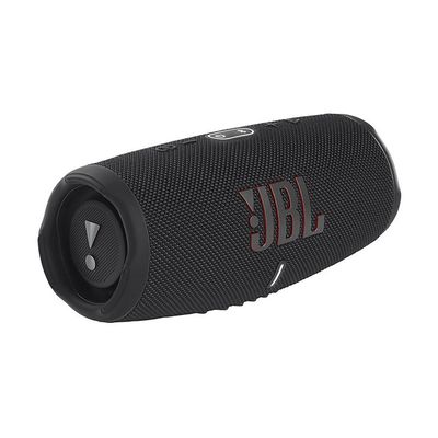 JBL FLIP 6 Portable