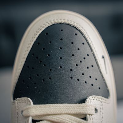 Nike Dunk Low x Dior (1:1)_img_6
