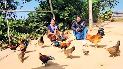 পাহাড়ি বন মোরগ_img_2