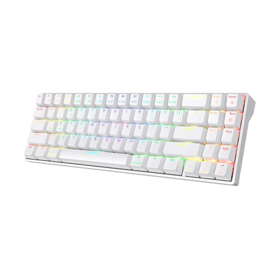 Royal Kludge RK71 Tri Mode Hot Swappable RGB Wireless Mechanical Keyboard_img_1