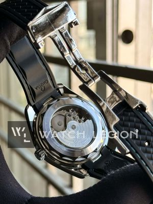 OMEGA AQUA TERRA TURQUOISE AUTO BELT_img_6